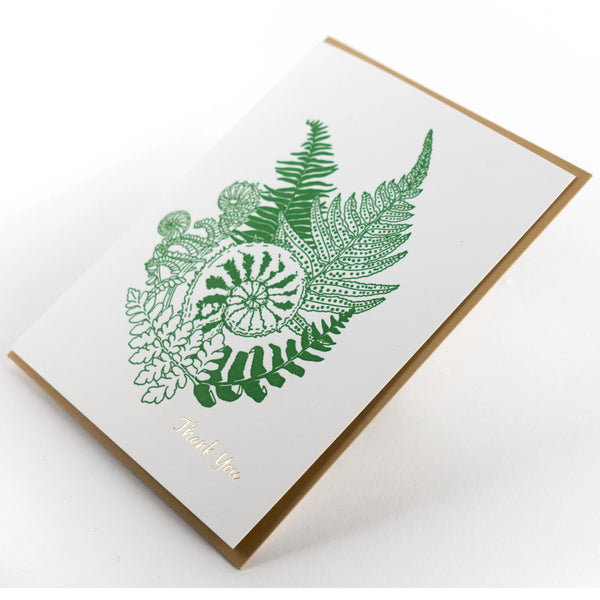 Thank You (Fern) – Greeting Card
