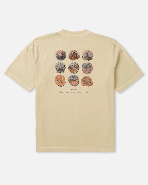 Specimen Box Tee- Pelican