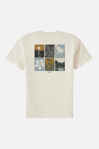 Phases Tee- Birch