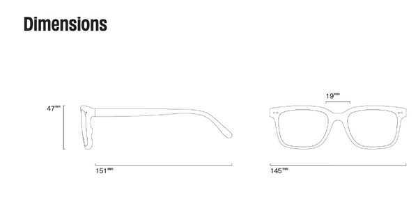 Sunnies- Izipizi # L, Tortoise with green lenses