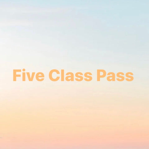 5 CLASS PASS- pls read description