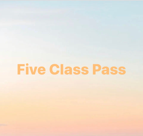 5 CLASS PASS- pls read description