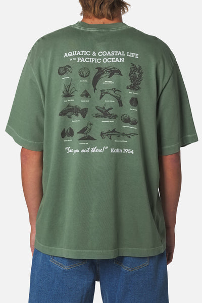 Conservation Box Fit Tee- Duck