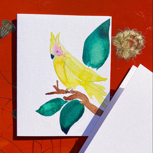 Greeting Card- Cheeky Bird, Water Colour